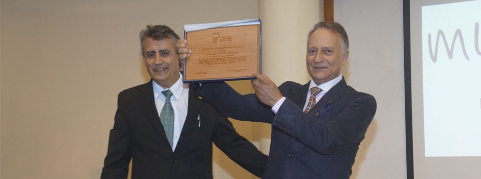 luis-antini